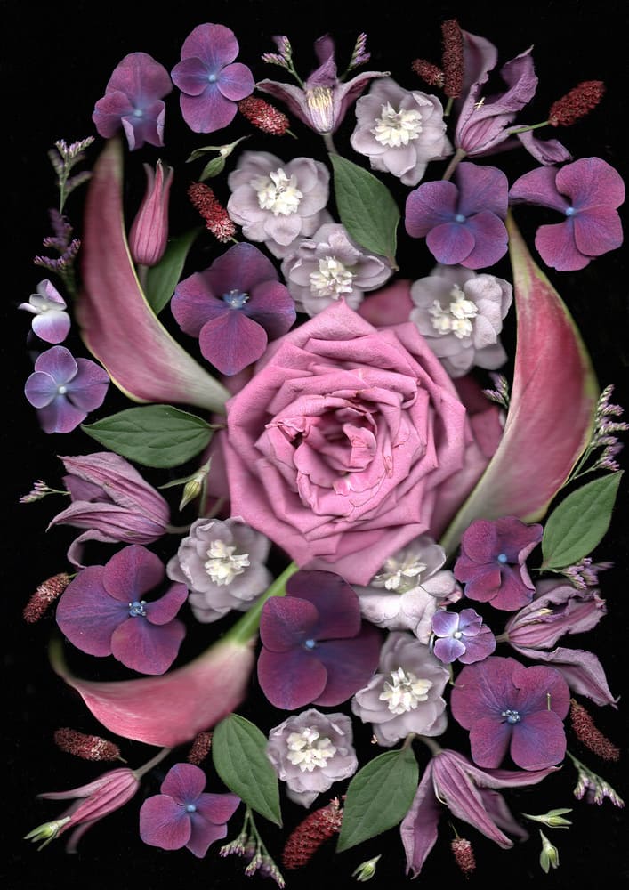 I collect flowers for life