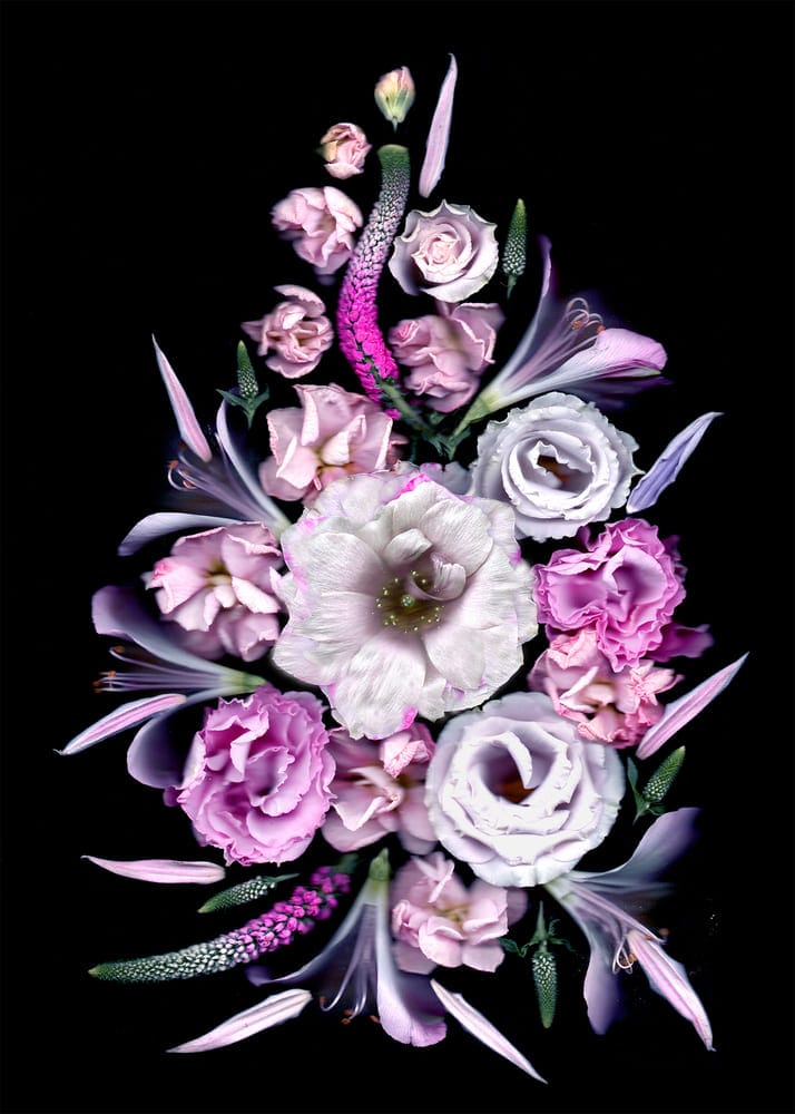 I collect flowers for life