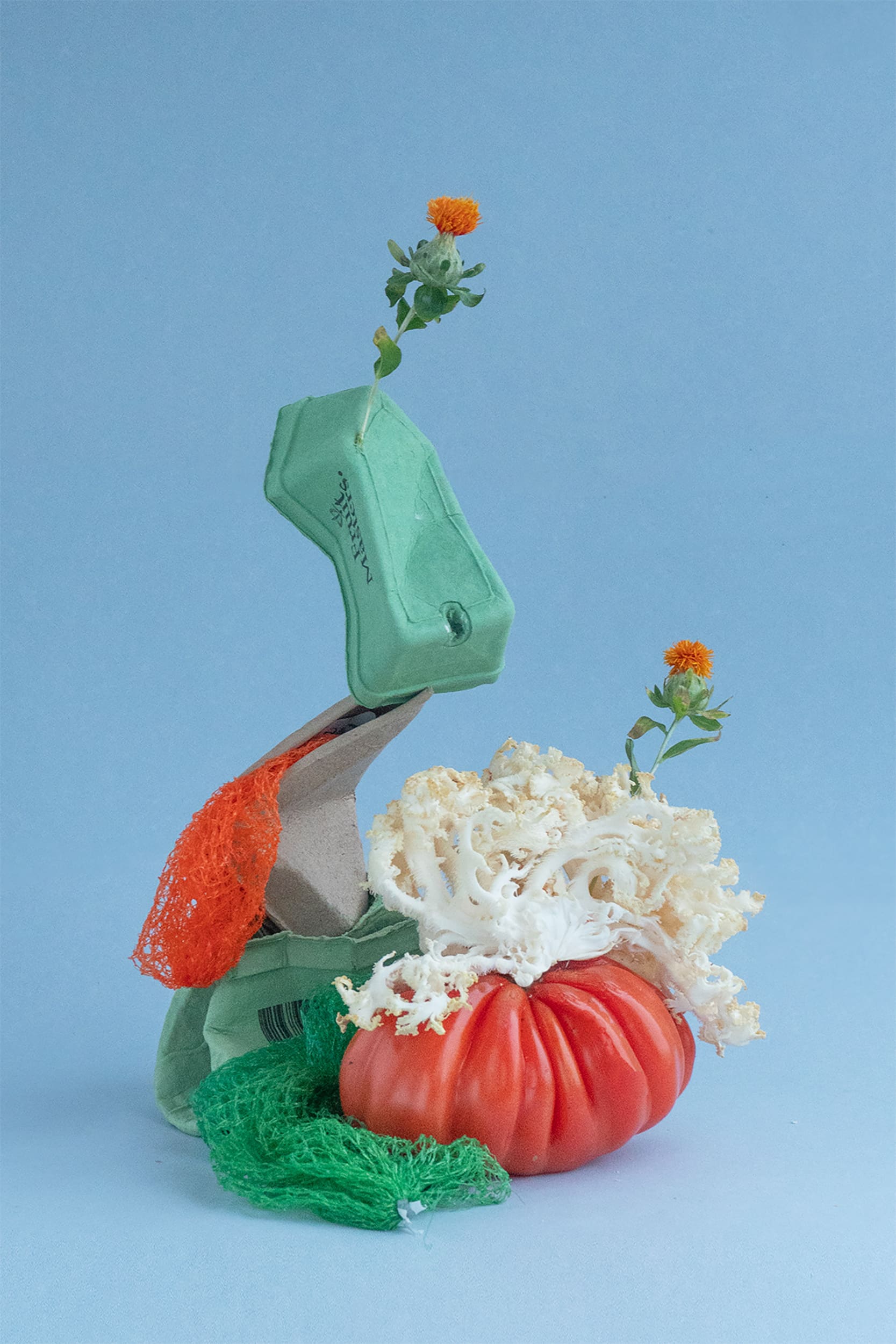 polypropylene and cardboard